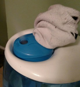 IMG_20151207_203217732 (1)