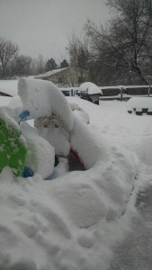 IMG_20160323_161242627