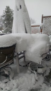 IMG_20160323_161256077